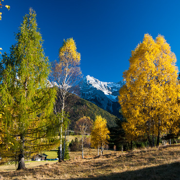 Buckelwiese, Herbst, Tiefkarspitze, Mittenwald