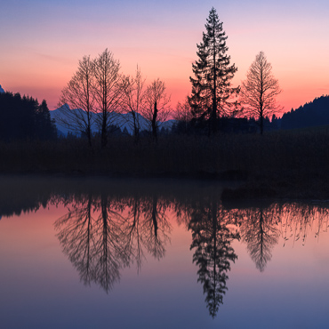 Geroldsee mit Spiegelung der Bäume. Abendrot über Garmisch-Partenkirchen. Links die Zugspitze.