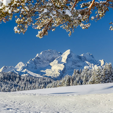 Die Alpspitze als dominates Motiv. Links der Hochblassen, rechts davon die Zugspitze. Auf der Kiefer liegt noch Schnee.